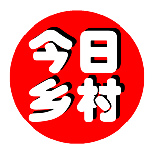 今日鄉(xiāng)村：婁底汽車寶貝娛樂(lè)中心